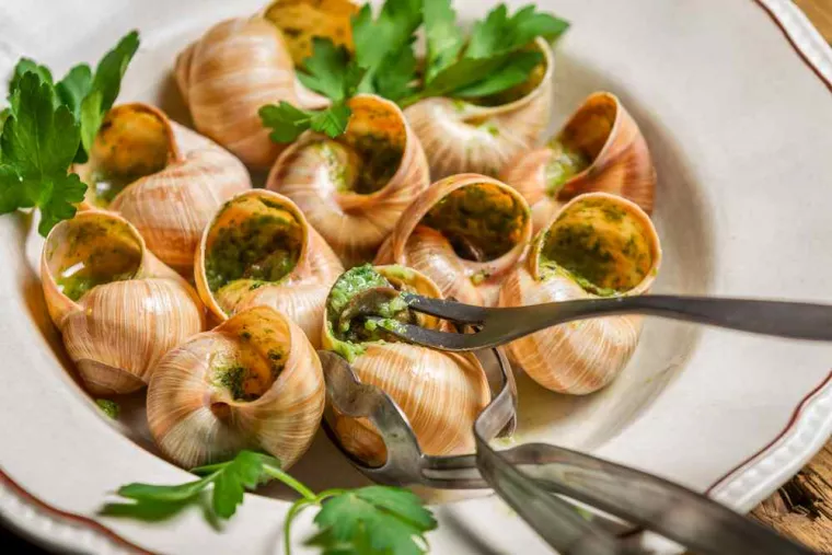 Service de traiteur qui propose des escargots pour une réception, Langon, Chez Maly